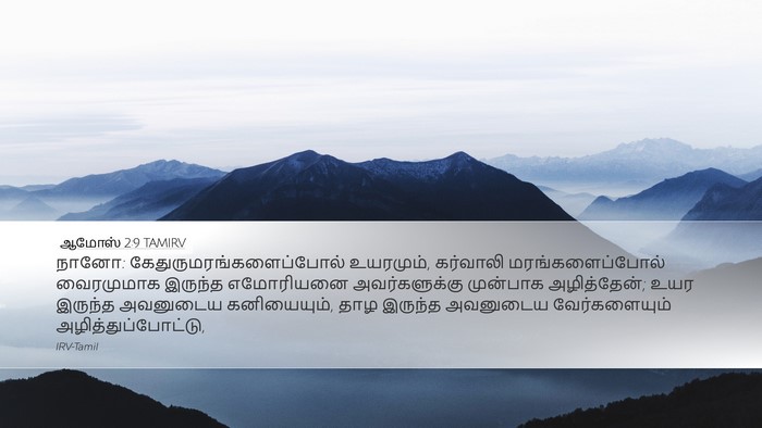 ஆமோஸ் 2:9 TAMIRV Bible Verse Image