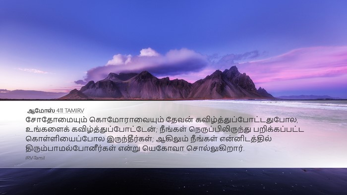 ஆமோஸ் 4:11 TAMIRV Bible Verse Image