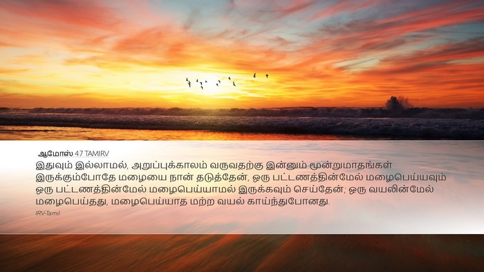 ஆமோஸ் 4:7 TAMIRV Bible Verse Image