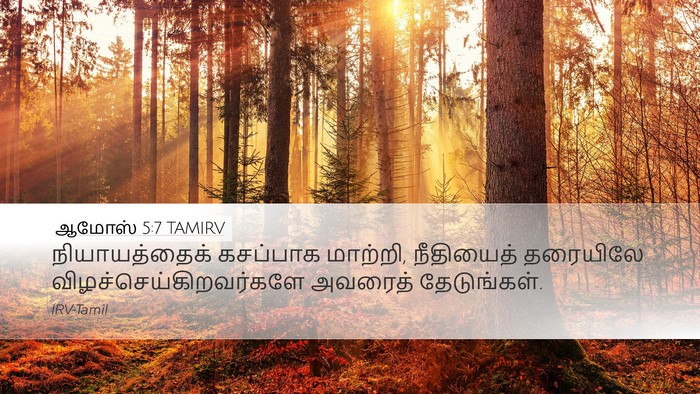ஆமோஸ் 5:7 TAMIRV Bible Verse Image