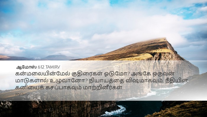 ஆமோஸ் 6:12 TAMIRV Bible Verse Image