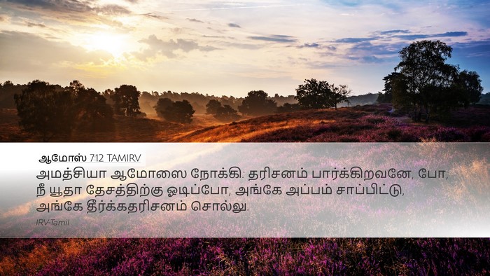 ஆமோஸ் 7:12 TAMIRV Bible Verse Image