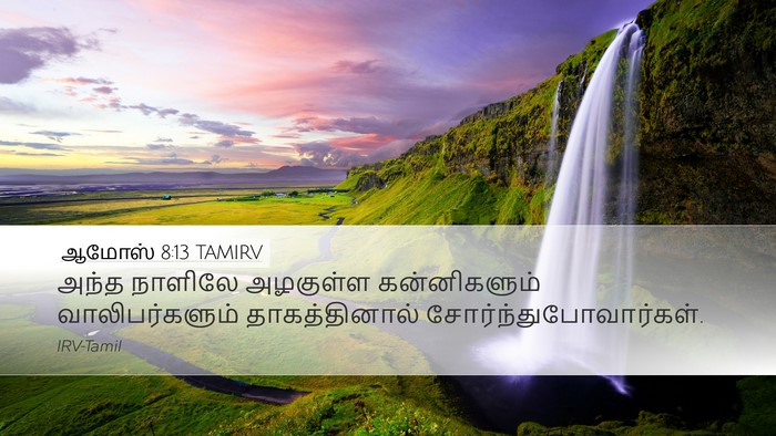 ஆமோஸ் 8:13 TAMIRV Bible Verse Image