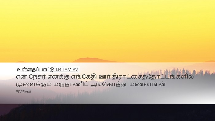 உன்னதப்பாட்டு 1:14 TAMIRV Bible Verse Image