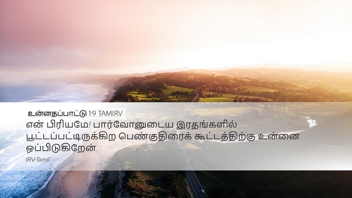 உன்னதப்பாட்டு 1:9 TAMIRV Desktop Wallpaper - என் பிரியமே! - Desktop Bible Verse Wallpaper