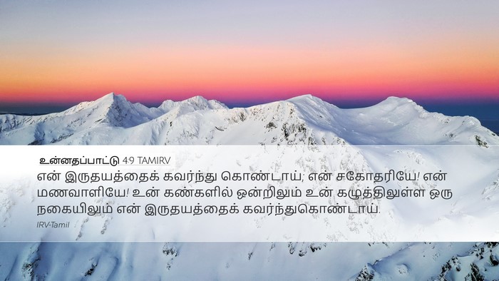 உன்னதப்பாட்டு 4:9 TAMIRV Bible Verse Image
