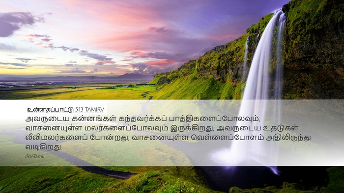 உன்னதப்பாட்டு 5:13 TAMIRV Bible Verse Image