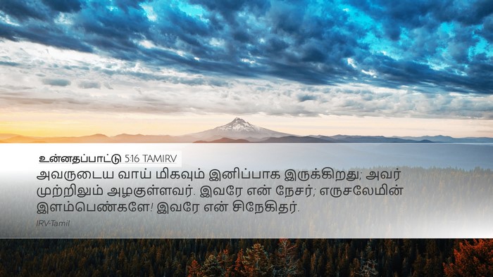 உன்னதப்பாட்டு 5:16 TAMIRV Bible Verse Image