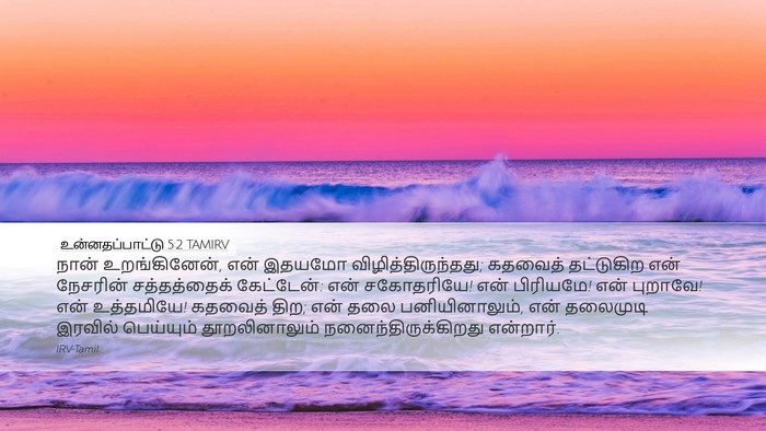 உன்னதப்பாட்டு 5:2 TAMIRV Bible Verse Image