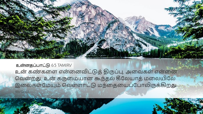 உன்னதப்பாட்டு 6:5 TAMIRV Bible Verse Image