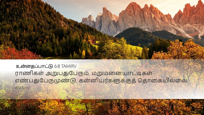 உன்னதப்பாட்டு 6:8 TAMIRV Bible Verse Image