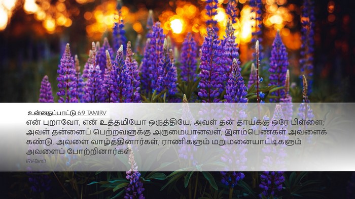 உன்னதப்பாட்டு 6:9 TAMIRV Bible Verse Image