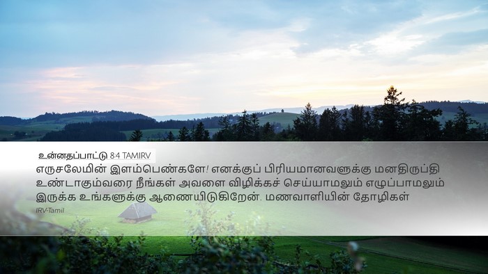 உன்னதப்பாட்டு 8:4 TAMIRV Bible Verse Image