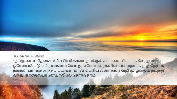உபாகமம் 1:19 TAMIRV Bible Verse Image