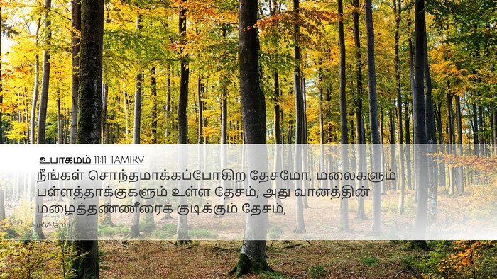 உபாகமம் 11:11 TAMIRV Bible Verse Image