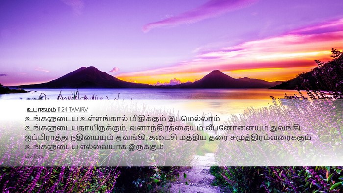 உபாகமம் 11:24 TAMIRV Bible Verse Image