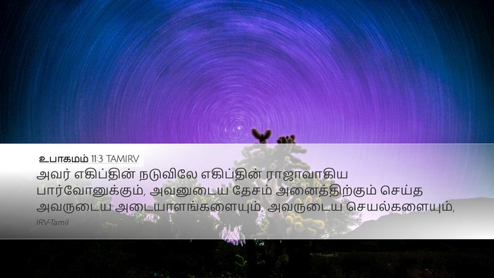 உபாகமம் 11:3 TAMIRV Desktop Wallpaper - அவர் எகிப்தின் - Desktop Bible Verse Wallpaper