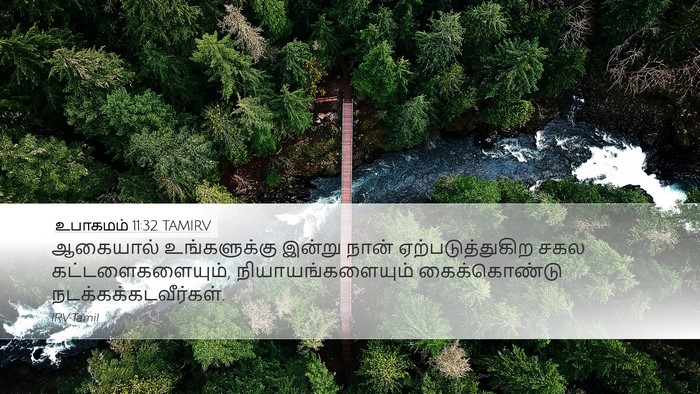 உபாகமம் 11:32 TAMIRV Bible Verse Image