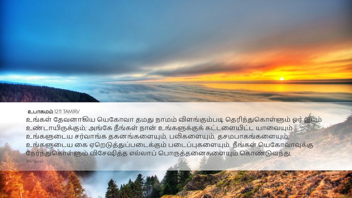 உபாகமம் 12:11 TAMIRV Bible Verse Image