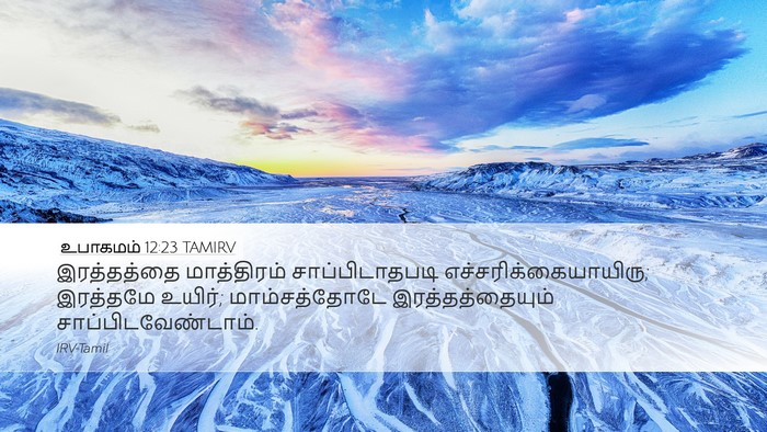 உபாகமம் 12:23 TAMIRV Desktop Wallpaper - இரத்தத்தை - Desktop Bible Verse Wallpaper