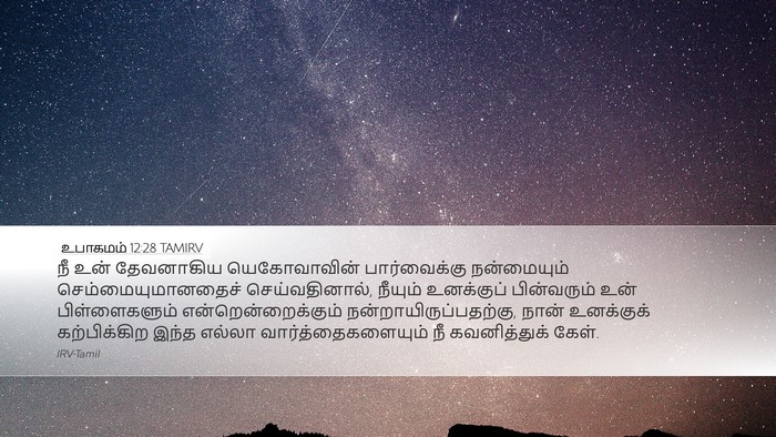 உபாகமம் 12:28 TAMIRV Bible Verse Image