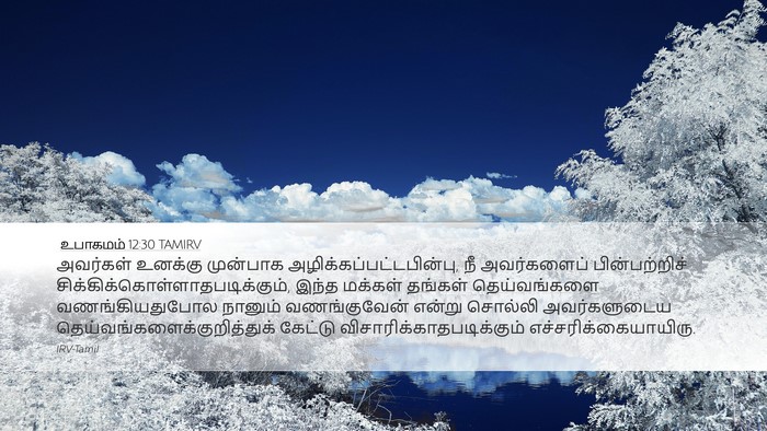 உபாகமம் 12:30 TAMIRV Bible Verse Image