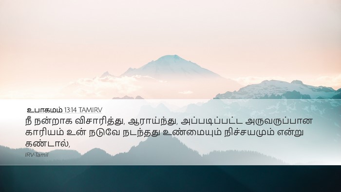 உபாகமம் 13:14 TAMIRV Bible Verse Image