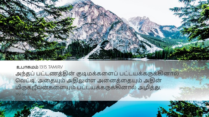 உபாகமம் 13:15 TAMIRV Bible Verse Image