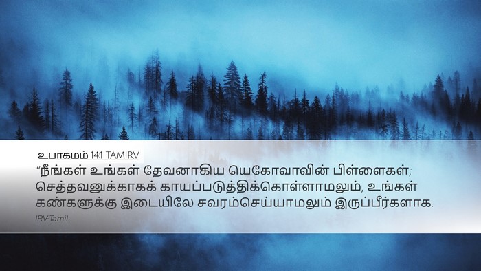 உபாகமம் 14:1 TAMIRV Bible Verse Image