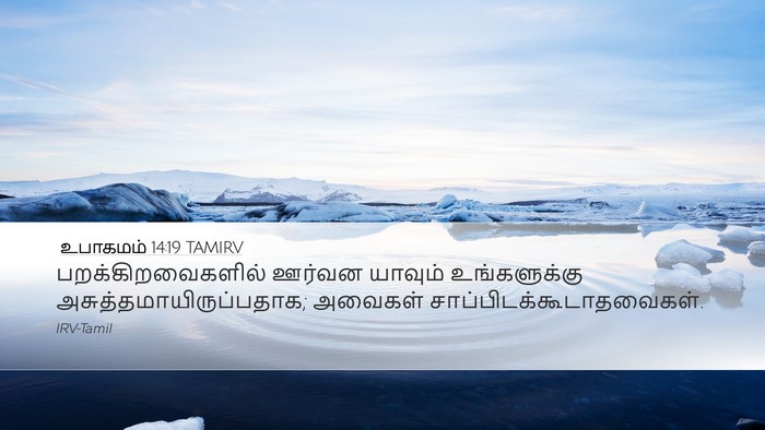 உபாகமம் 14:19 TAMIRV Bible Verse Image