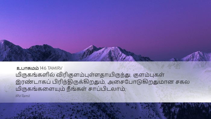 உபாகமம் 14:6 TAMIRV Desktop Wallpaper - மிருகங்களில் - Desktop Bible Verse Wallpaper
