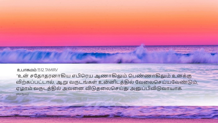 உபாகமம் 15:12 TAMIRV Desktop Wallpaper - “உன் சதோதரனாகிய - Desktop Bible Verse Wallpaper