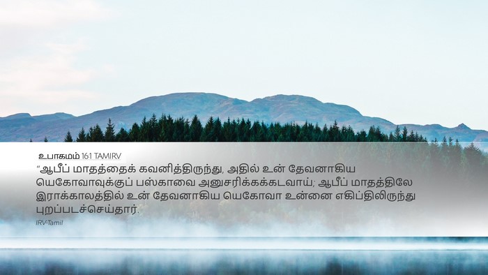 உபாகமம் 16:1 TAMIRV Bible Verse Image