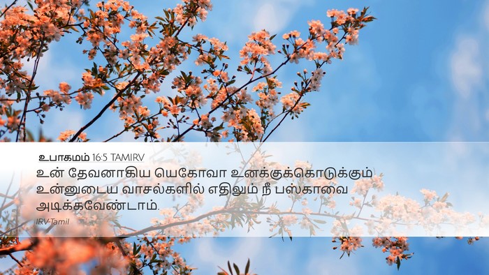 உபாகமம் 16:5 TAMIRV Desktop Wallpaper - உன் தேவனாகிய - Desktop Bible Verse Wallpaper