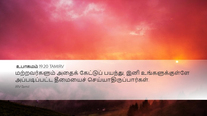 உபாகமம் 19:20 TAMIRV Bible Verse Image