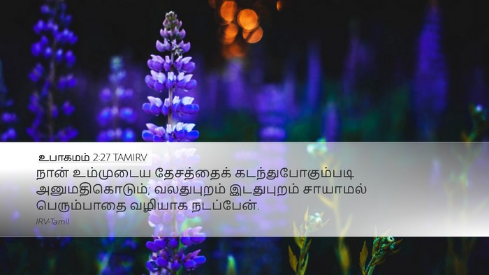 உபாகமம் 2:27 TAMIRV Bible Verse Image