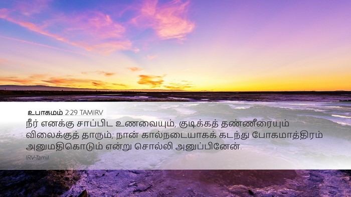 உபாகமம் 2:29 TAMIRV Bible Verse Image