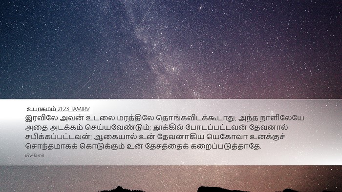 உபாகமம் 21:23 TAMIRV Bible Verse Image