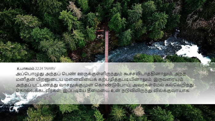 உபாகமம் 22:24 TAMIRV Bible Verse Image