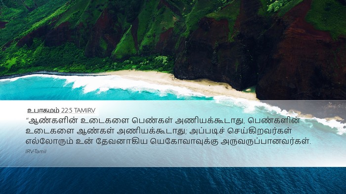 உபாகமம் 22:5 TAMIRV Desktop Wallpaper - “ஆண்களின் உடைகளை - Desktop Bible Verse Wallpaper