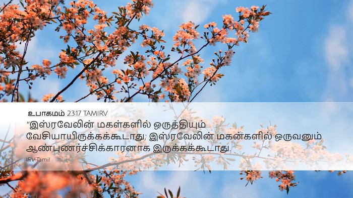 உபாகமம் 23:17 TAMIRV Bible Verse Image