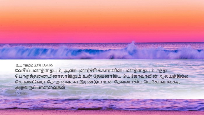 உபாகமம் 23:18 TAMIRV Bible Verse Image