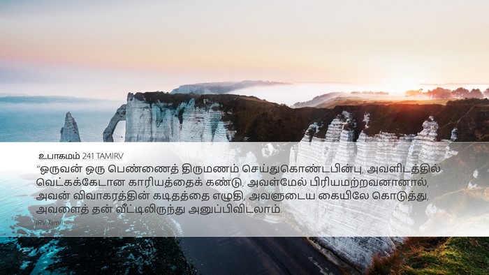 உபாகமம் 24:1 TAMIRV Bible Verse Image