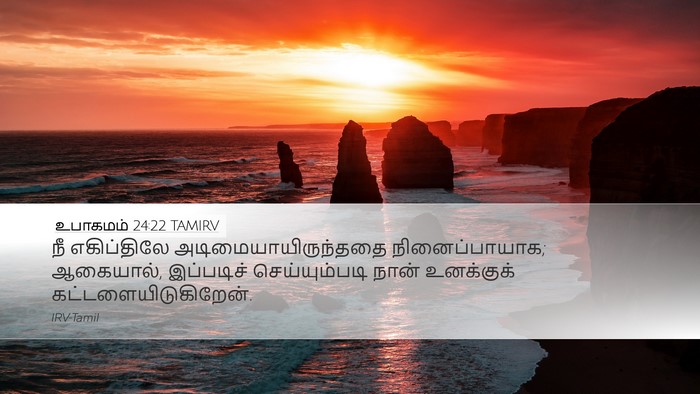 உபாகமம் 24:22 TAMIRV Bible Verse Image