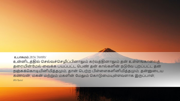 உபாகமம் 28:56 TAMIRV Bible Verse Image