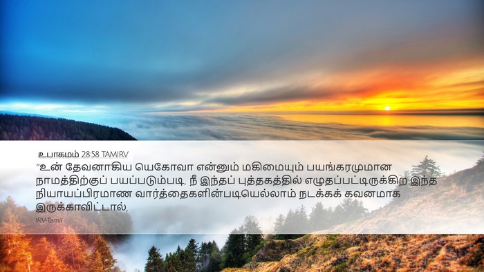 உபாகமம் 28:58 TAMIRV Bible Verse Image