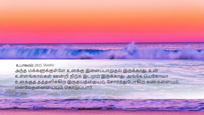 உபாகமம் 28:65 TAMIRV Bible Verse Image