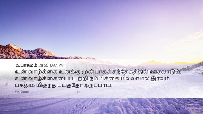 உபாகமம் 28:66 TAMIRV Desktop Wallpaper - உன் வாழ்க்கை - Desktop Bible Verse Wallpaper