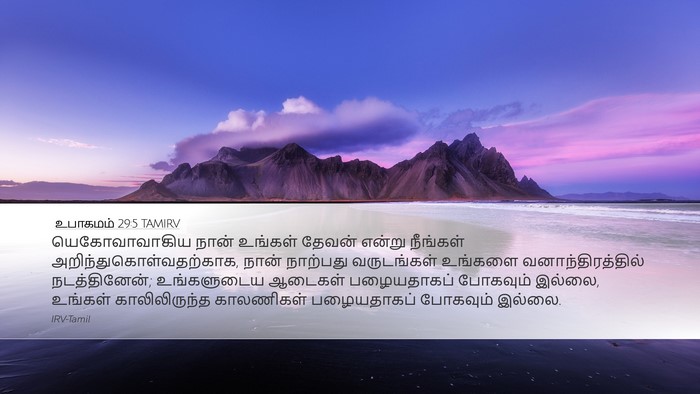 உபாகமம் 29:5 TAMIRV Bible Verse Image