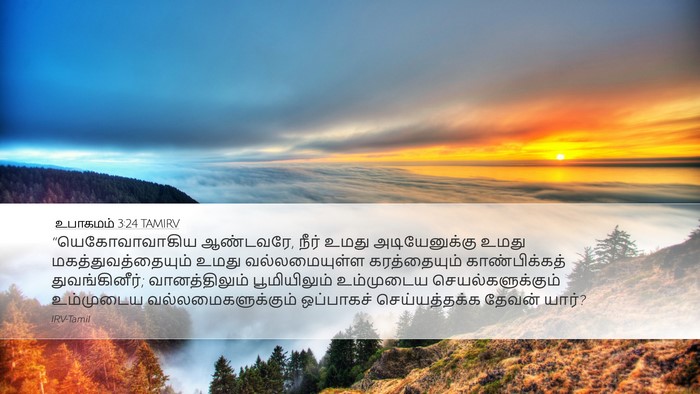 உபாகமம் 3:24 TAMIRV Bible Verse Image